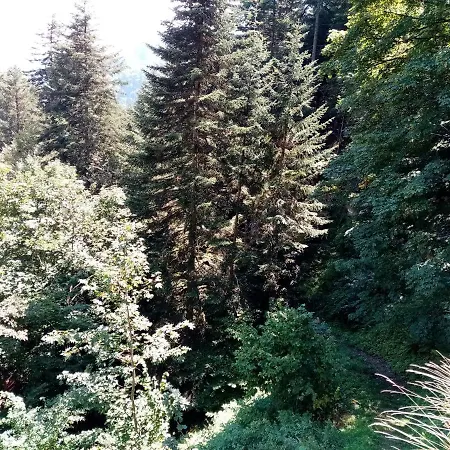 Casa 3*