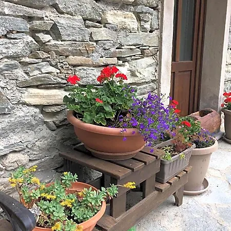 Casa شقة فندقية 3*
