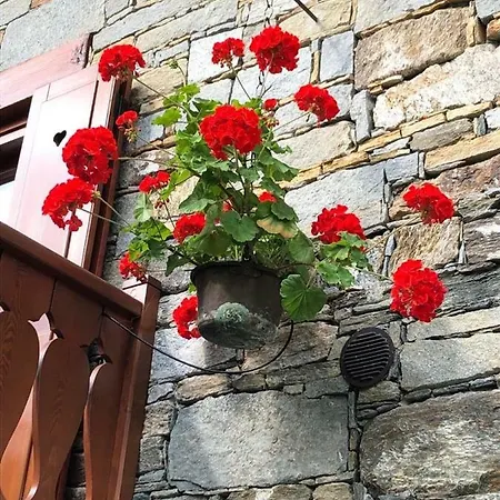 Casa 아파트호텔