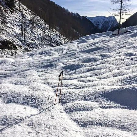 아파트호텔 Casa 3*