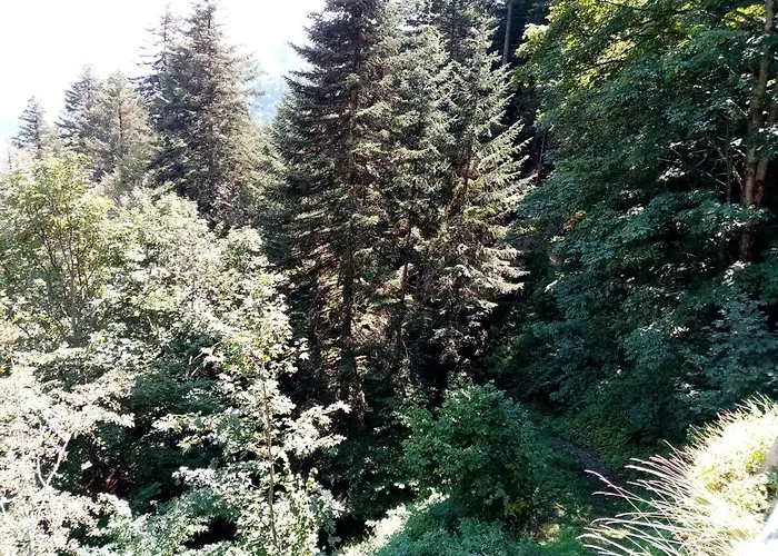 Casa 3*