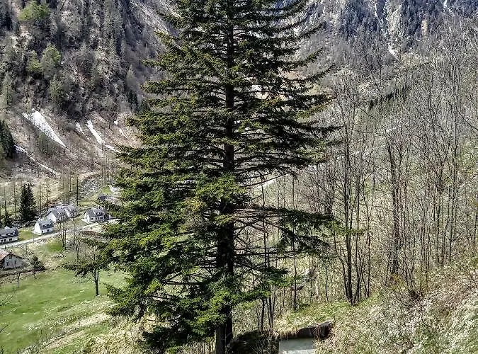 Casa アパートホテル